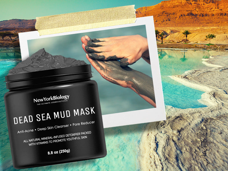 New York Biology Dead Sea Mud Mask for Face and Body - Spa Quality Pore Reducer for Acne, Blackheads & Oily Skin, Natural Skincare for Women, Men - Tightens Skin for A Healthier Complexion - 8.8 oz